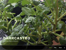 Tablet Screenshot of dahr-castro.com